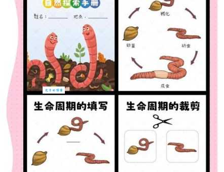 蚯蚓都住在哪里?详解蚯蚓的理想生活环境