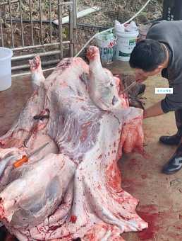 “打牙祭”是什么意思?好吃好喝才能打牙祭?