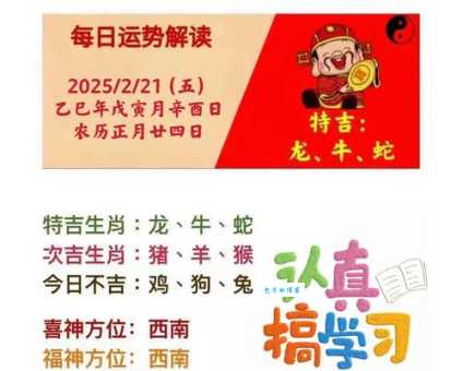 目光远大,力求摘星,决心意志皆坚定代表指什么生肖,精选答案落实