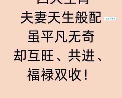 不屈不挠，稳中求胜，有勇有谋是精英代表指什么生肖，精选答案落实