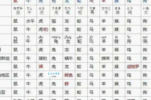 今期狗龙马出特，四四合八看十六代表指什么生肖，精选答案落实