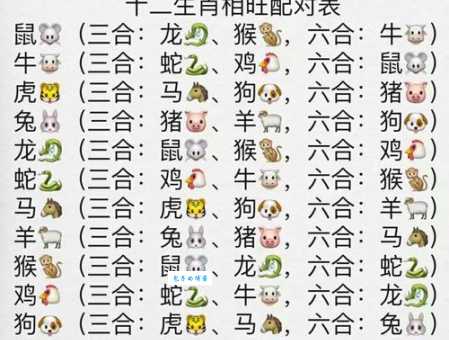 顺二连五一一现,八九不分合吉三是代表什么生肖打一正确生肖,解释解答释义落实