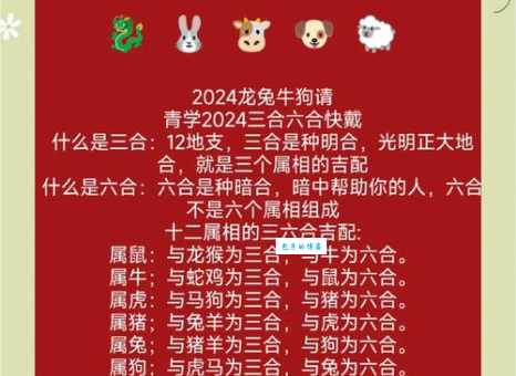 四四合八看十六是代表什么生肖打一正确生肖，解释解答释义落实