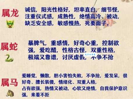 四四合八看十六是代表什么生肖打一正确生肖，解释解答释义落实