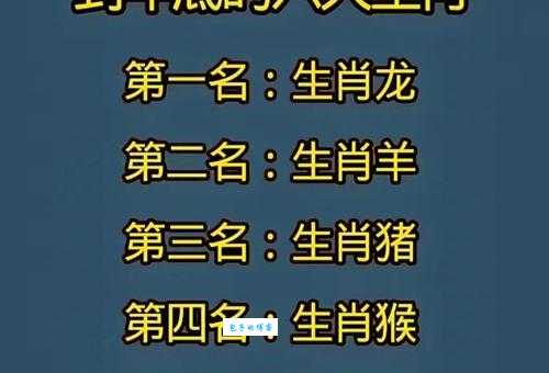 一头二头马先锋,双红波色放光彩指的什么生肖,精选回答落实