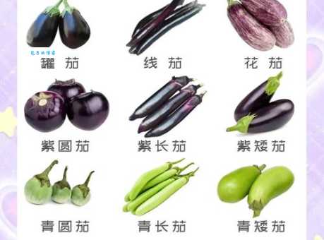 茄子的另外一个名字叫什么？揭秘茄子不为人知的称呼