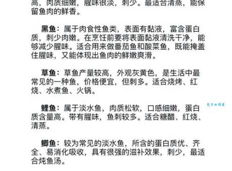 鲶鱼吃什么天然饵料既省钱又营养