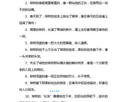 柳条像什么比喻句让作文更出彩的秘诀