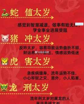 董国舅内阁受诏什么生肖 十二生肖中他属哪个