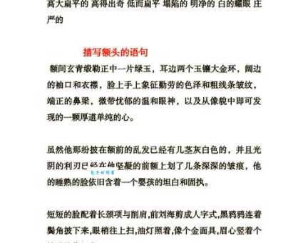 额是什么意思网络热词背后的含义