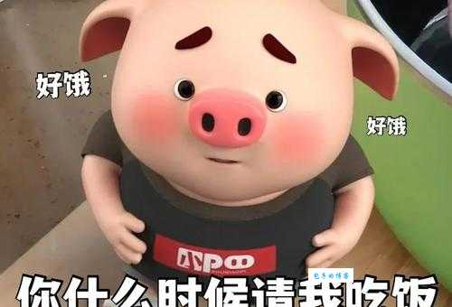 干饭人是什么意思原来是指吃饭很厉害的人