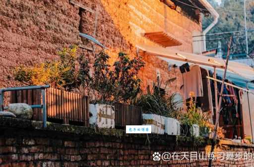 捡篓子是什么意思 生活中常听到却不懂