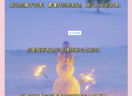 饭圈女孩是什么意思 追星女孩的日常大揭秘