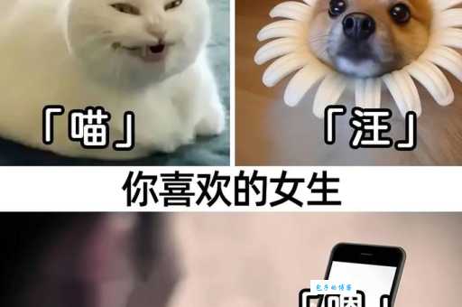沙雕是什么意思原来是指这种搞笑行为