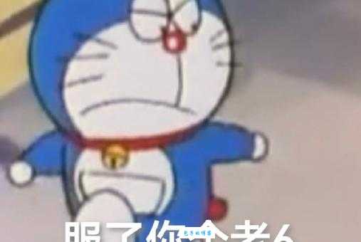 服了你个老六是什么梗 为什么大家都在说这句话