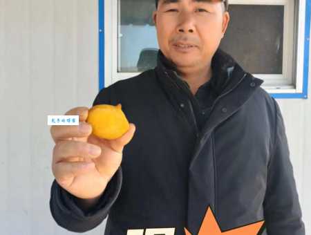 东东是什么意思 年轻人常说的东东指什么