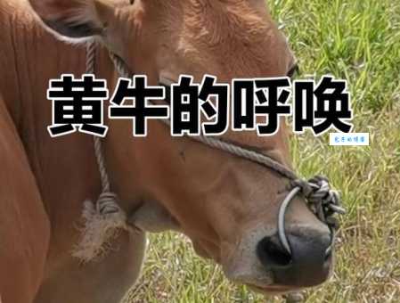 网络黄牛是什么意思 为什么大家都讨厌网络黄牛