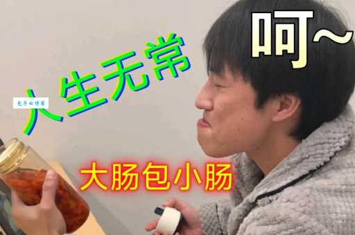 人生无常大肠包小肠出处揭秘原来出自这部经典影视剧