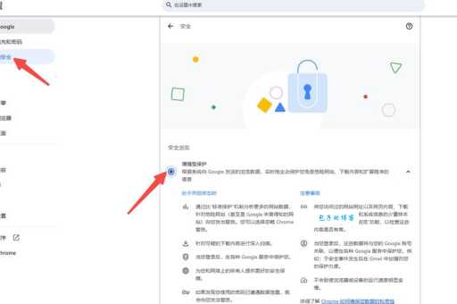 什么是浏览器 (3个隐私安全设置让你上网更放心)