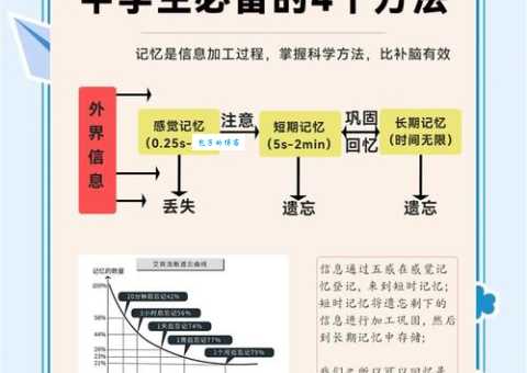 记忆力差怎么办?试试米勒法则让你轻松记住所有信息!