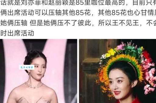 分答上哪些名人明星的回答最值得听？答案可能出乎意料！