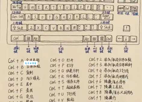 办公常用工具怎么选最实用？资深人士分享省钱秘诀！