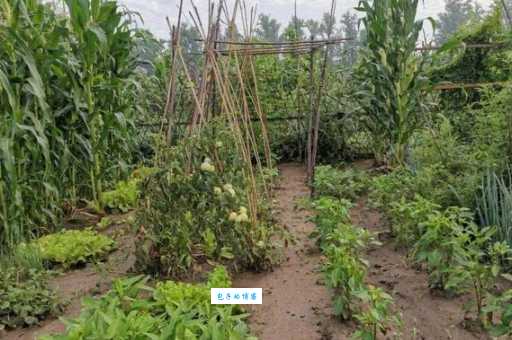 怎么在赶驴网找到好资源？这几个小技巧你一定要知道！