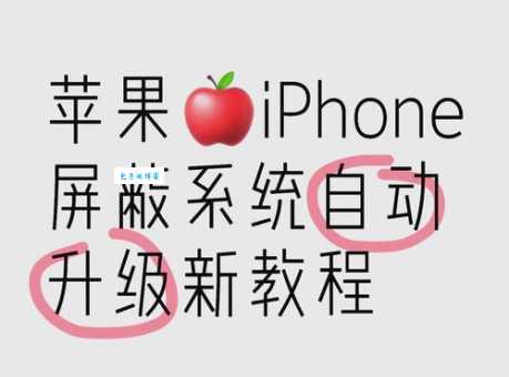 手机系统如何在线升级?安全又快速的方法教给你!