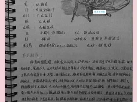 蝉游记怎么样好不好用？亲身体验告诉你真实评价！